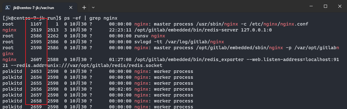 image-20231124015918025