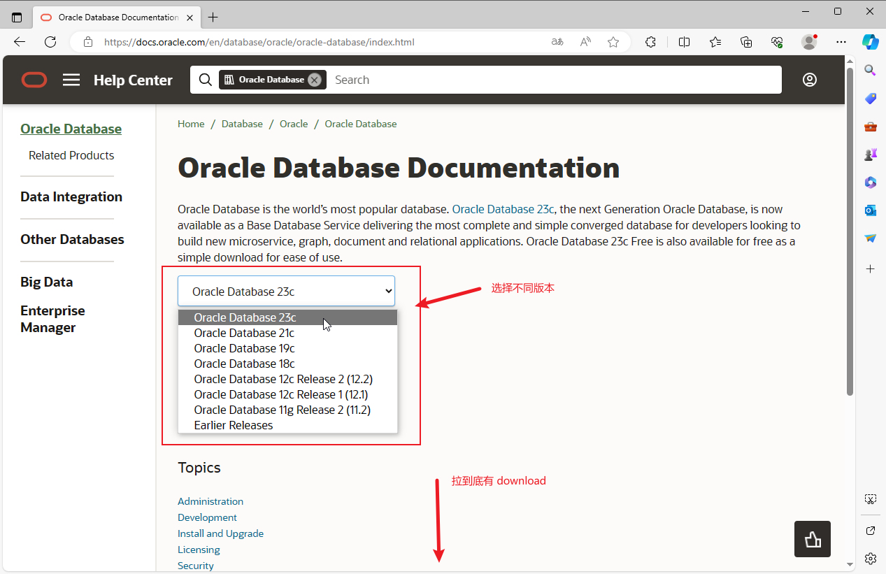 image-20231124152534551