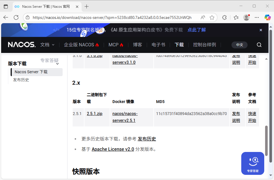 image-20251028171806466